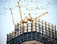 הקבלנים מזהירים מקריסת חברות הבנייה ועליית מחירים של 5 אחוזים